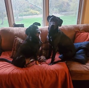 Meet your Posher, Mary